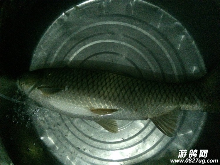 7C57FCA2-7AAD-4D8E-A823-9020FFD55A0F.JPG