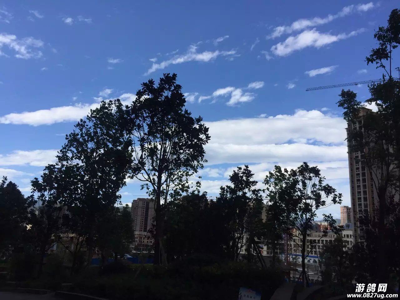 QQͼƬ20151026151806.jpg