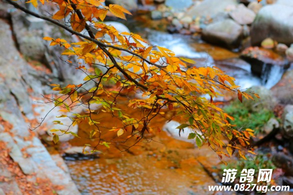 冰-003.JPG