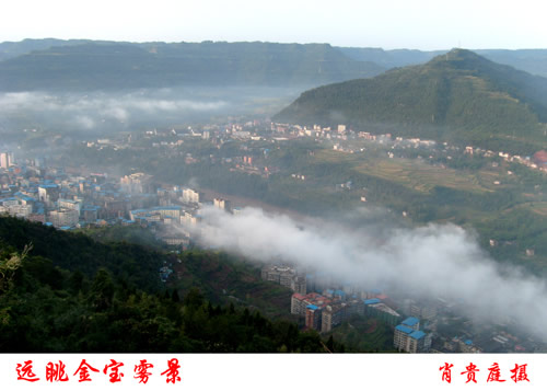225733xypycpll330yrkbl.jpg