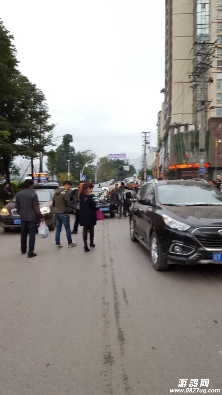 QQ图片20151120085953.jpg