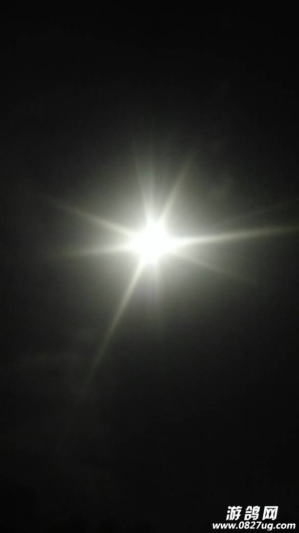 213420ceqxa89cajbjnxqd.jpg