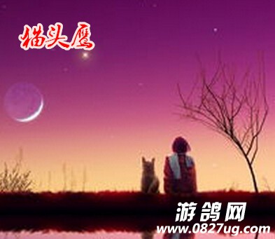 QQ截图20151124212729.jpg
