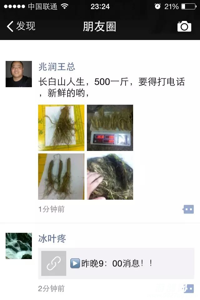 123.jpg