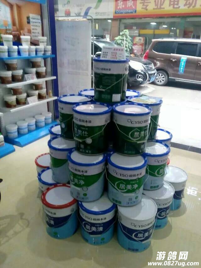 225007f1m01exq11xmq9ce.jpeg