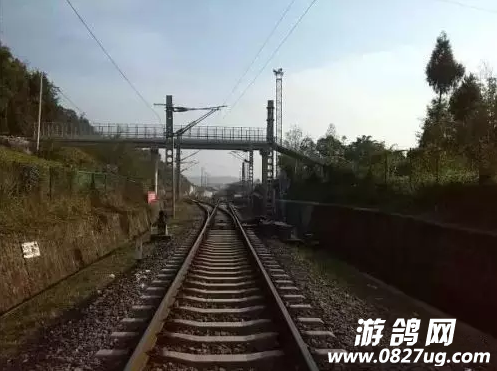 QQͼ20151205100712.png