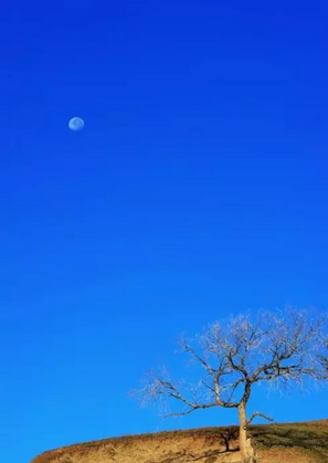 QQ截图20151205150449.png