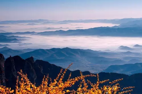 QQ截图20151205150429.png