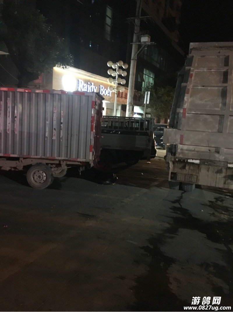 212418e4zrrlv3ci3iavgi.jpg