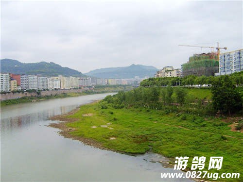 213800y64r3i8sh8ss11ss.jpg