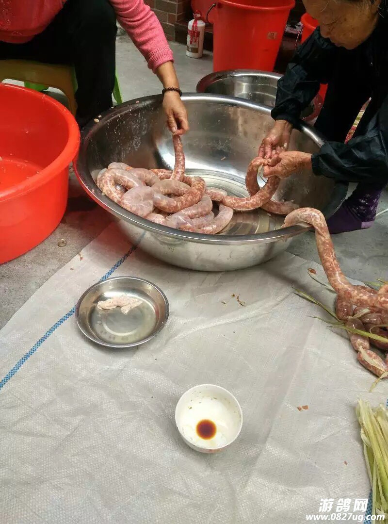 121037yiwb0cuo2nc3rrui.jpg