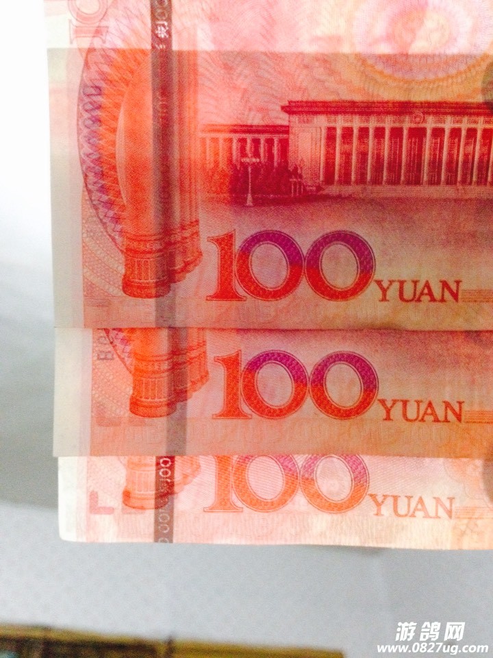 121400dskkpktvukq0ktoh.jpg