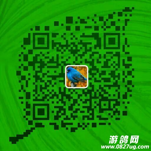 223059u8ot63zgte50809o.jpeg
