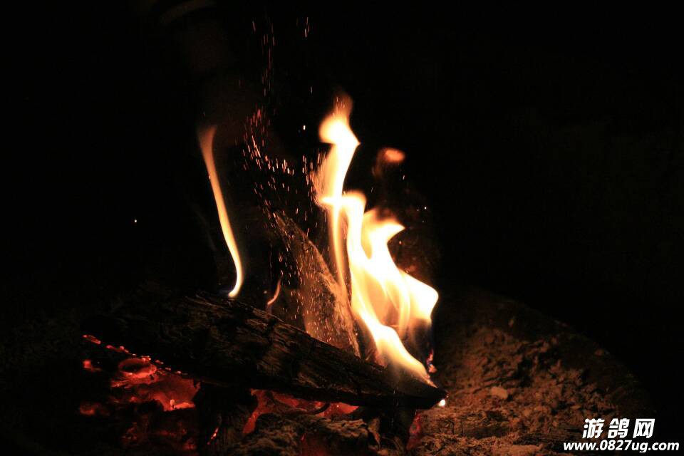 010653ugxnb2zwo8hchcvv.JPG