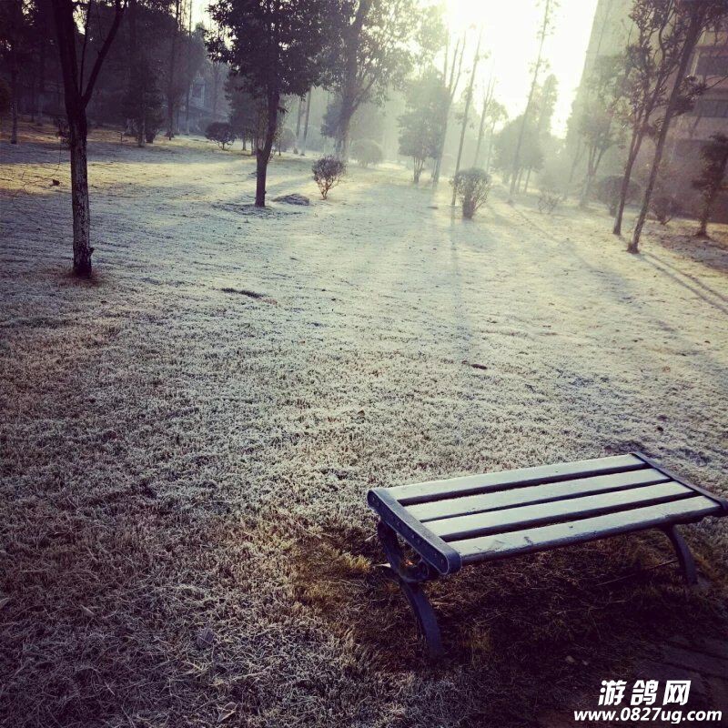 QQ图片20151217102627.jpg