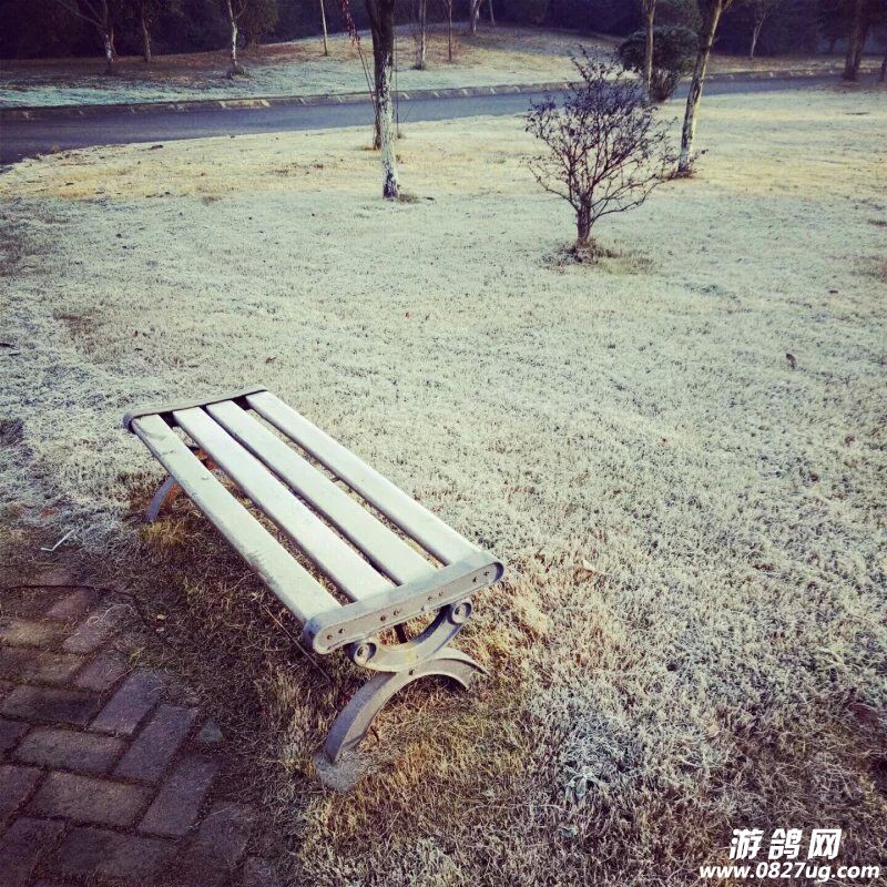 QQ图片20151217102632.jpg