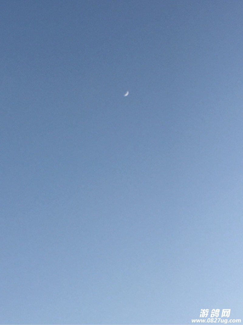 144420igi9g32gd94226in.jpg