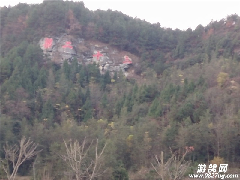 IMG20151215173556.jpg