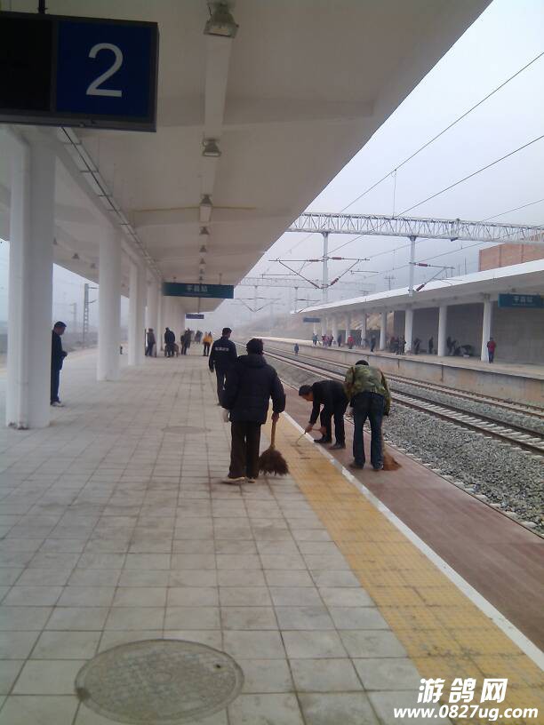 123251pvbo8b31ycbusuwv.jpg