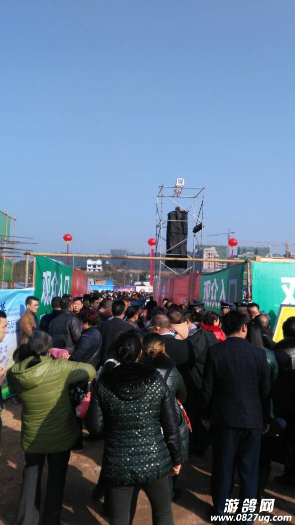 151124i1y272wkp2wgee25.jpg