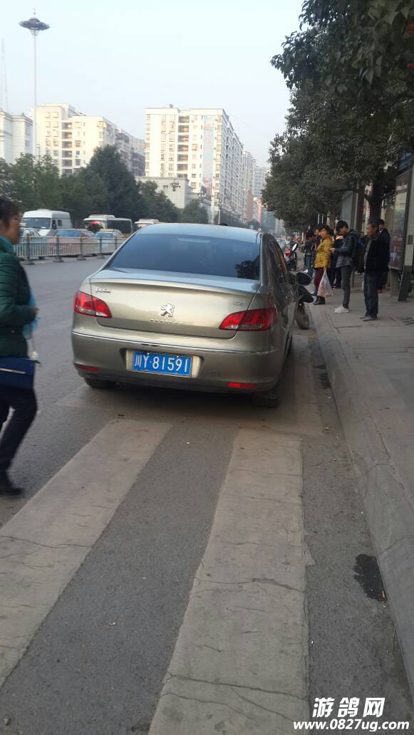 175146zos9vdc20269vffd.jpg