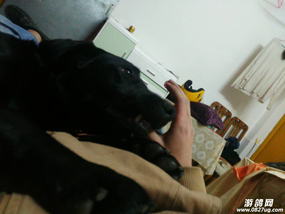 125301p1yn1ndny7iu180d.jpg
