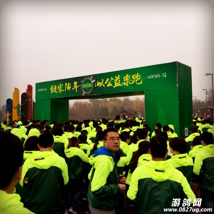 155132cmlqddqitqq9sqtr.jpg