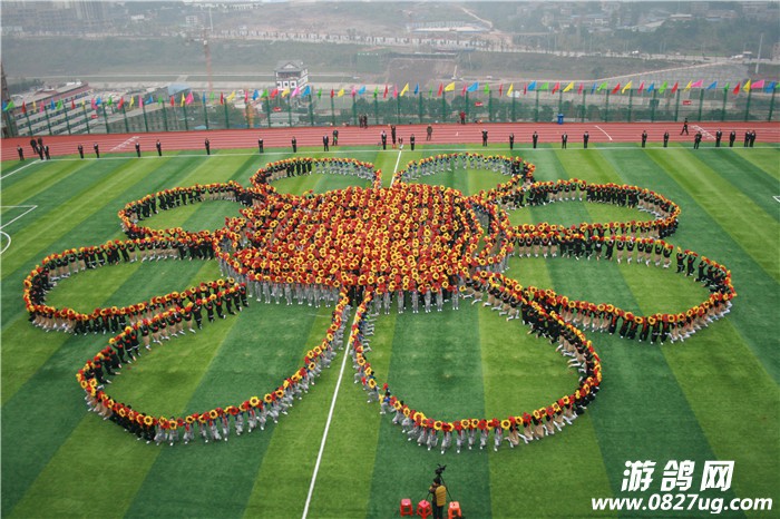 家长开放日活动  (4).JPG