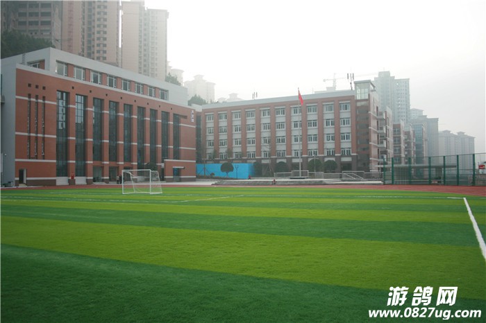 校园建筑物 (4).JPG