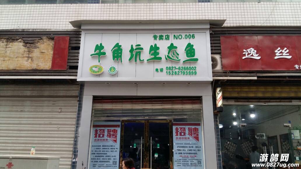卖鱼居然开专卖店?