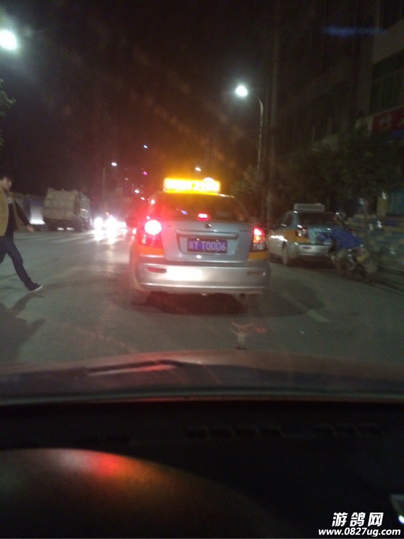 235133cmp0f7gpd61kgpxx.jpg