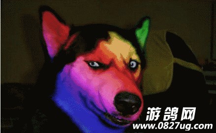 002327ojwge02gew403y7y.jpg