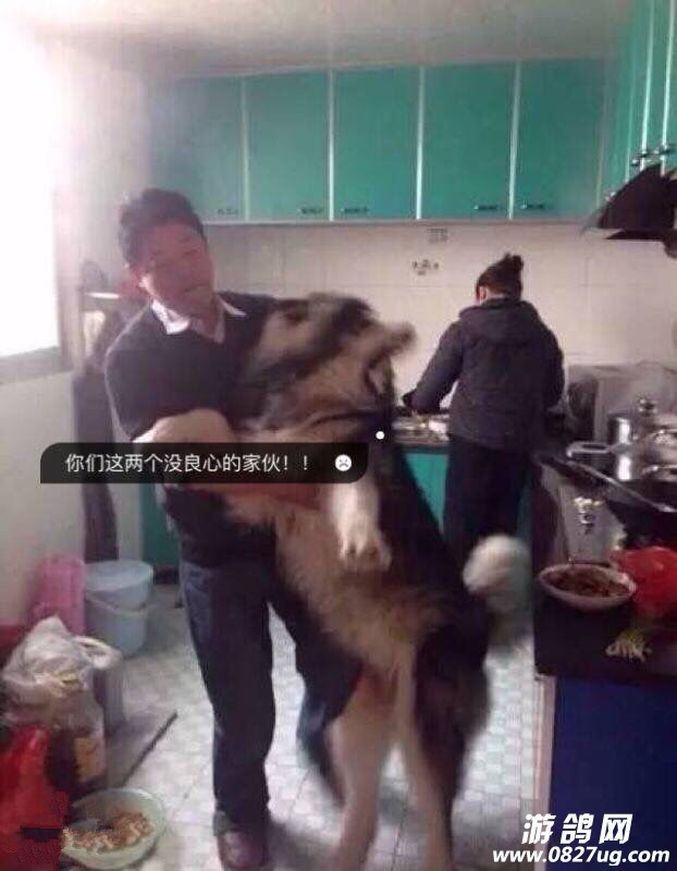 QQͼƬ20160116153358.jpg