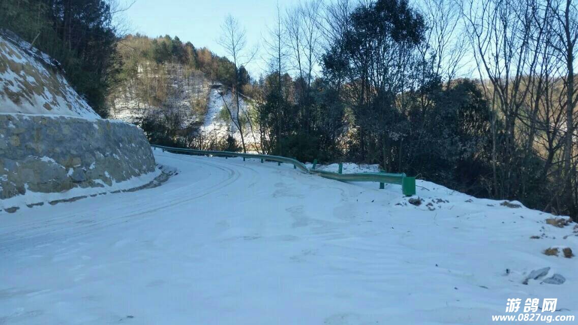 160126zs5p4u542xuz2f67.jpeg