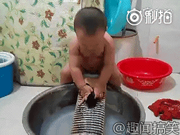 t015bd9bed233bff32d.gif
