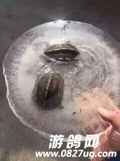d0543f39gw1f0cqqduh16j206o08wq34.jpg