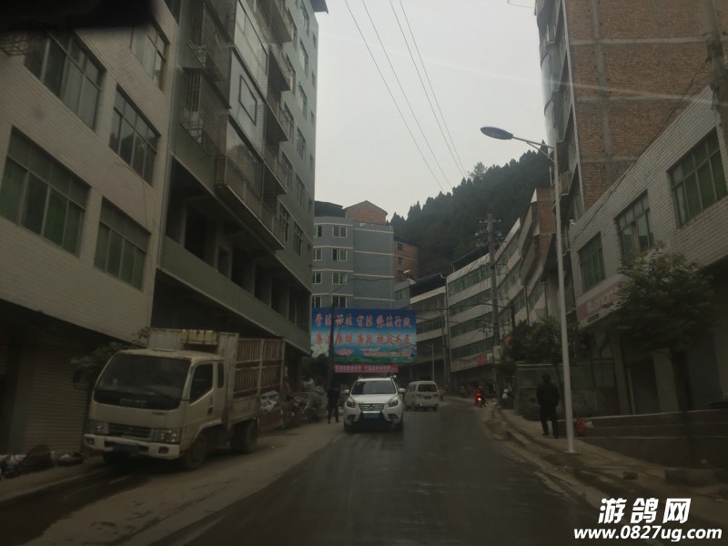 160834lfaeihewwrw8wy6a.jpg