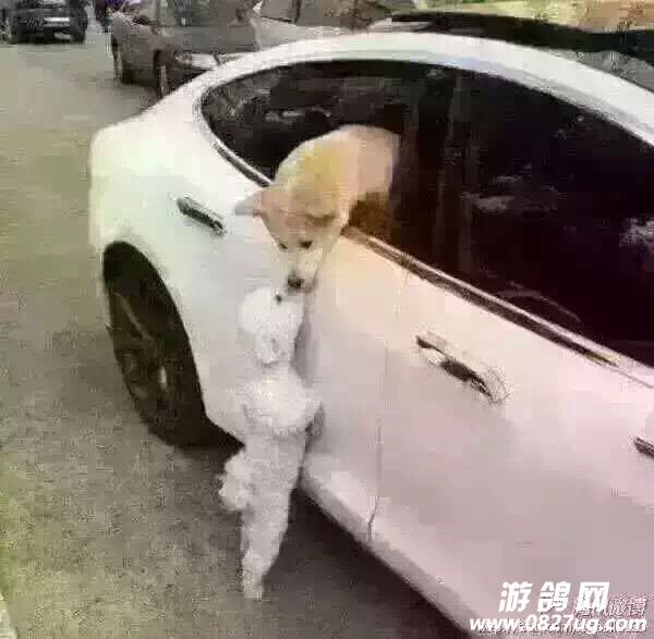 000446fttw4b79f4mf7487.jpg