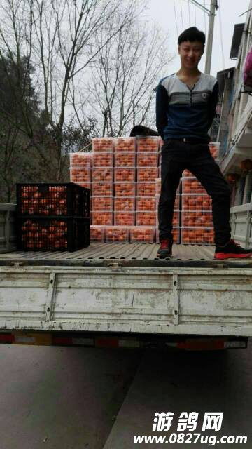 103447qsgnxho3a0ihaoni.jpg