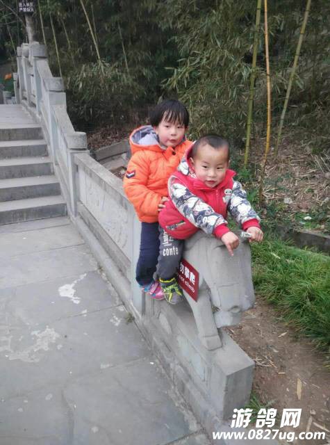 003942uwqa1t4x51g20950.jpg