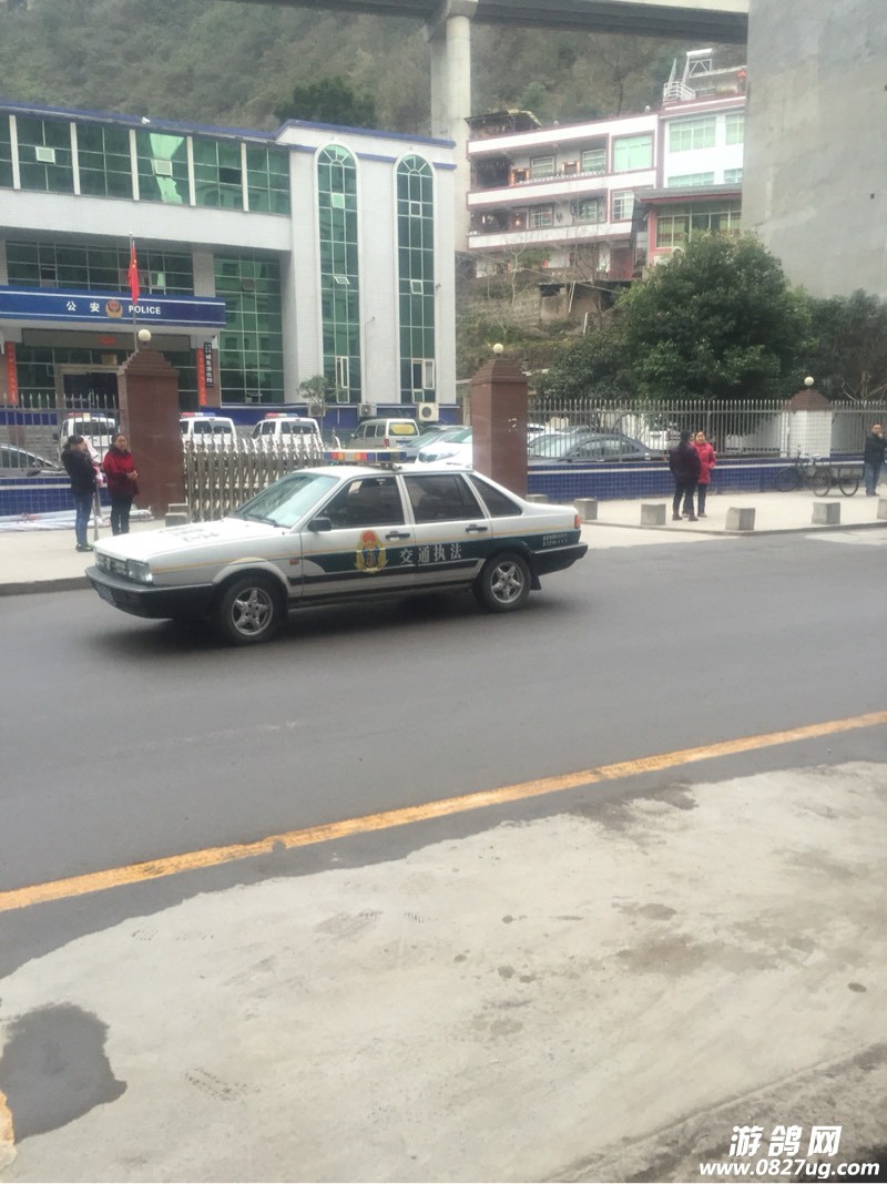 085115yjfg99f99d59oe5v.jpg