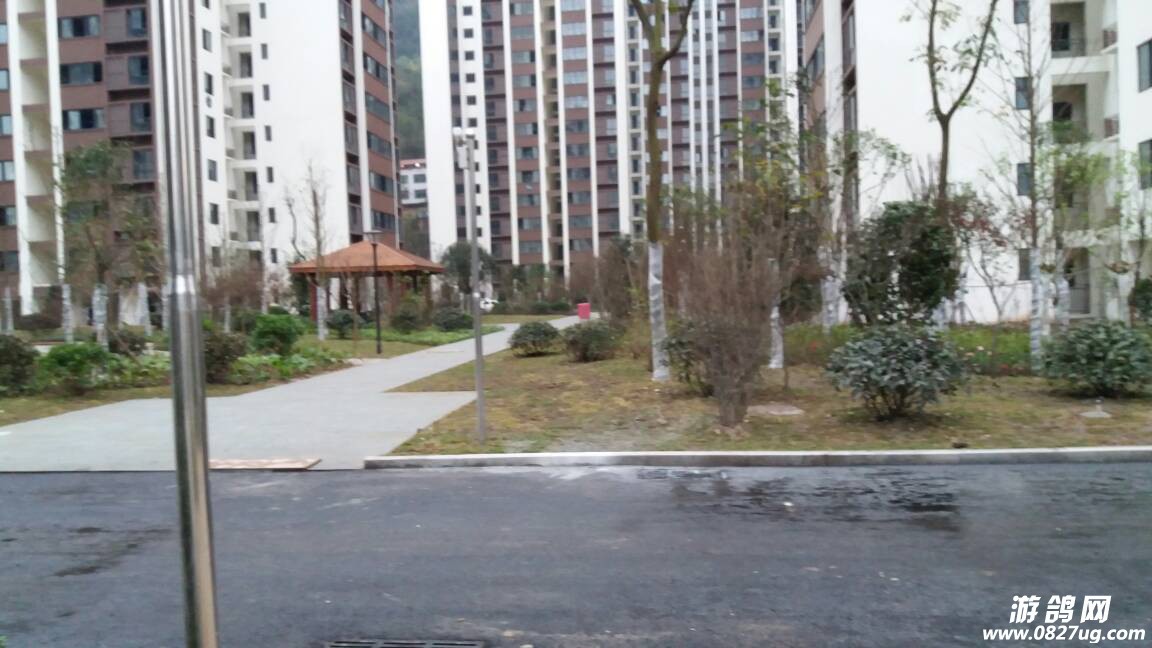 131000fw64x8w2lwffk26s.jpg