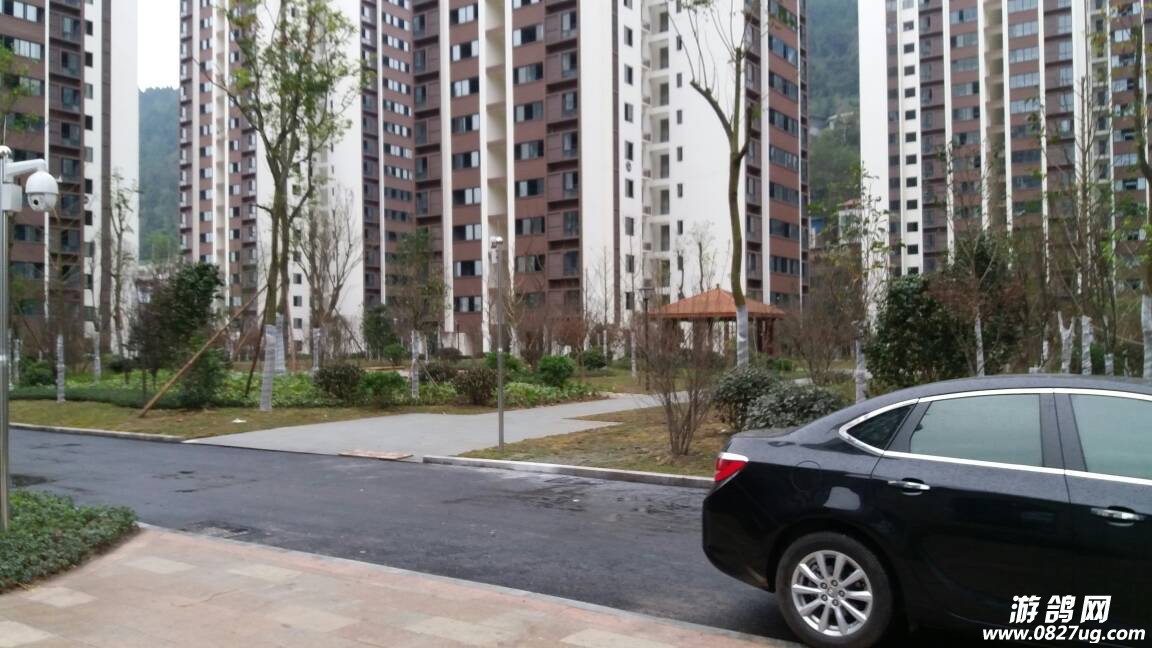 131000rwa5pp7q3iw35mpa.jpg