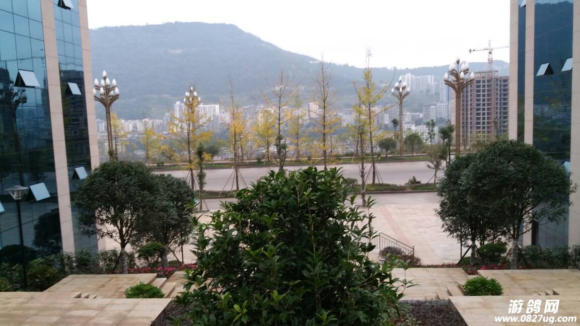 131001bt5skjta5mp6mapr.jpg