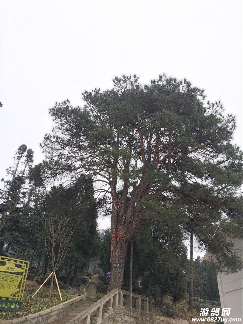 023150x5cw6zq6i6w61661.jpg