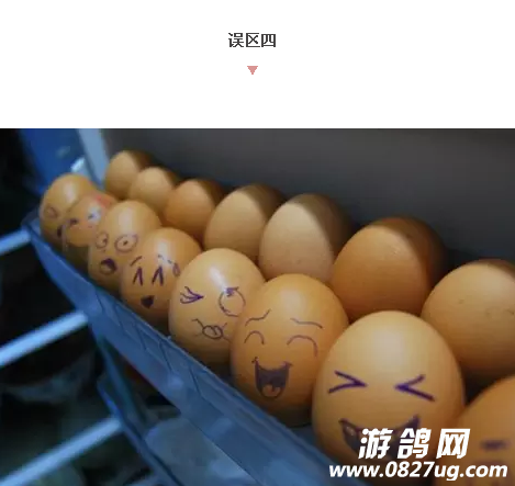 5.png