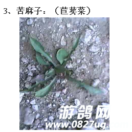 3.png