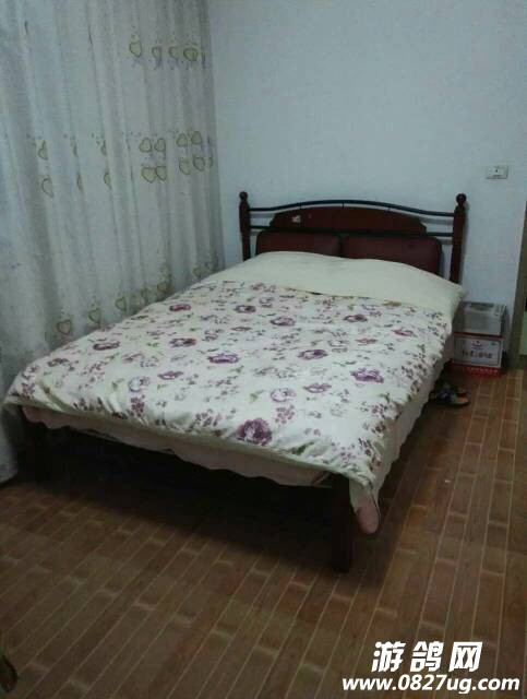 185306fg244s4thgjshii8.jpg