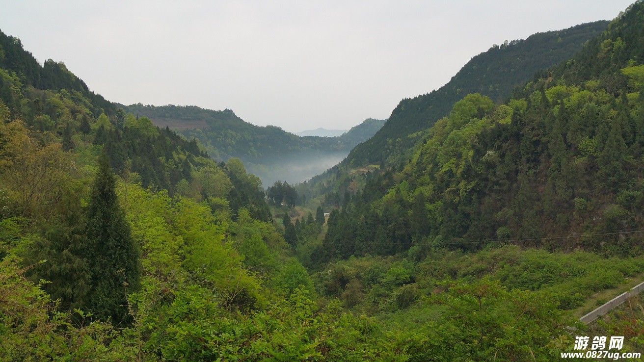 20160404_081534.jpg