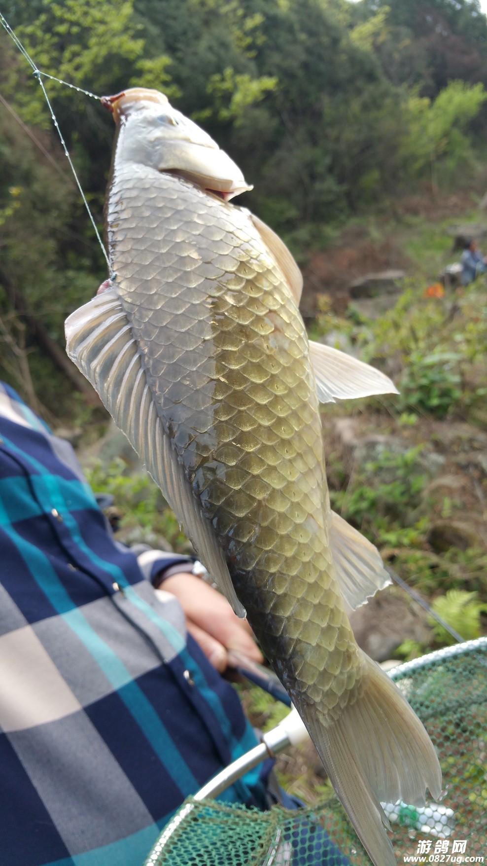 20160404_105613.jpg